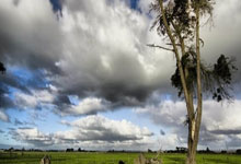 壹号娱乐：2024年意甲各队支付经纪人佣金：尤文近3400万欧最高，国米第二.